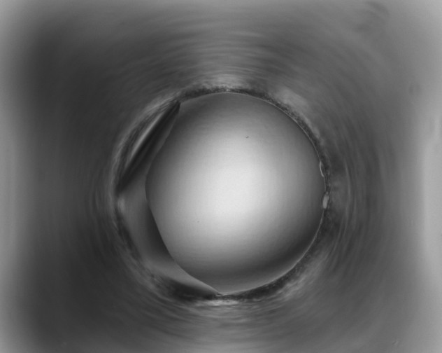 X0000088690395200706071524