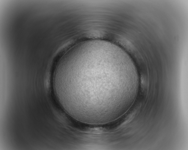 X0000088690396200706071524