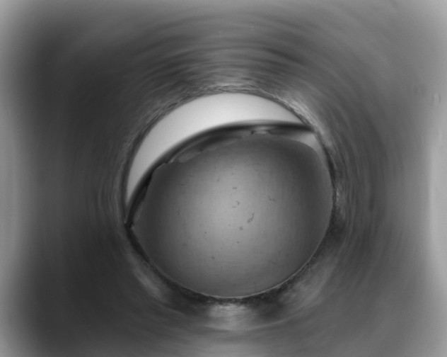 X0000088690397200706071524