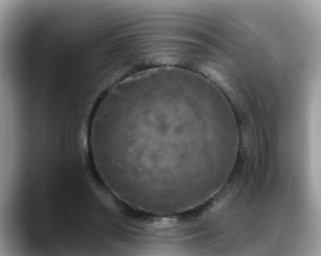 X0000088690398200706071524
