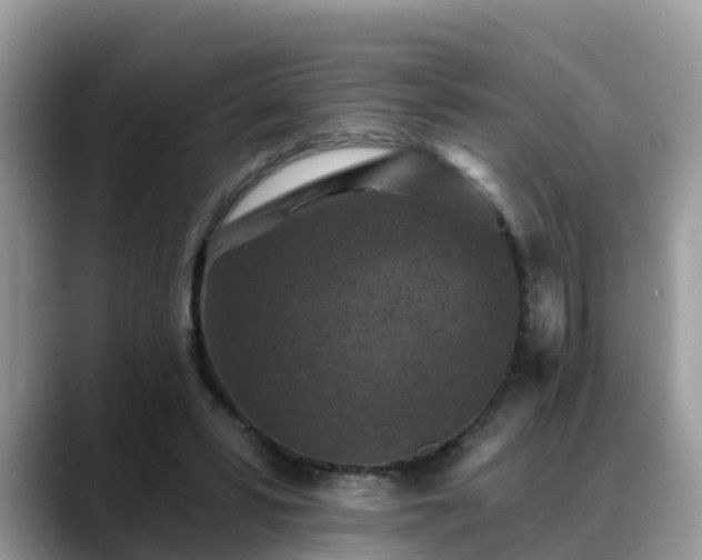 X0000088690399200706071524