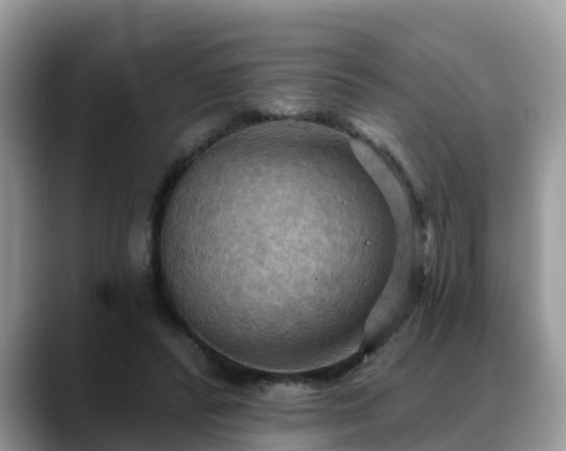 X0000088690400200706071524