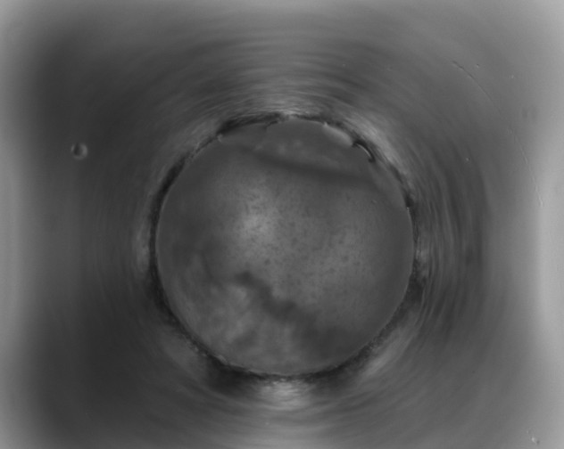 X0000088690402200706071524