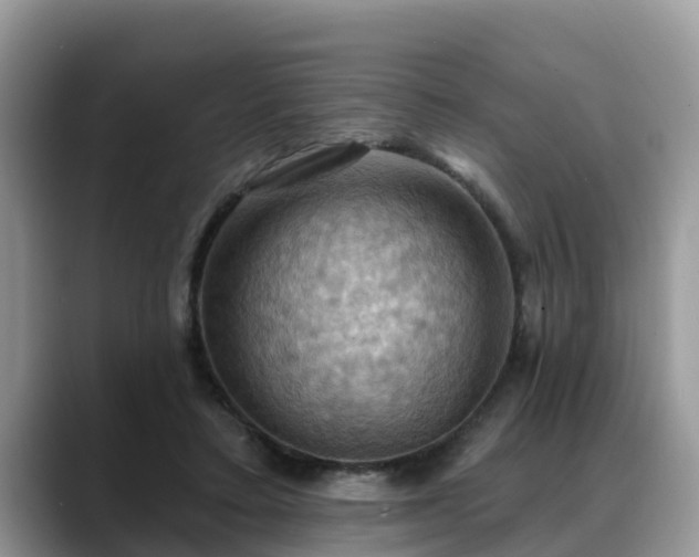 X0000088690403200706071524