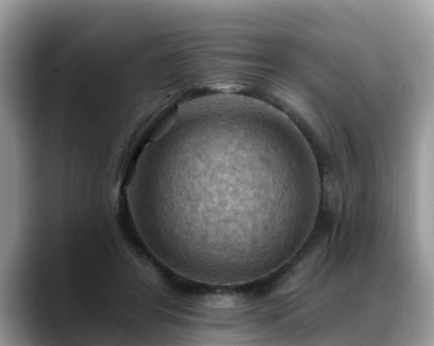 X0000088690404200706071524