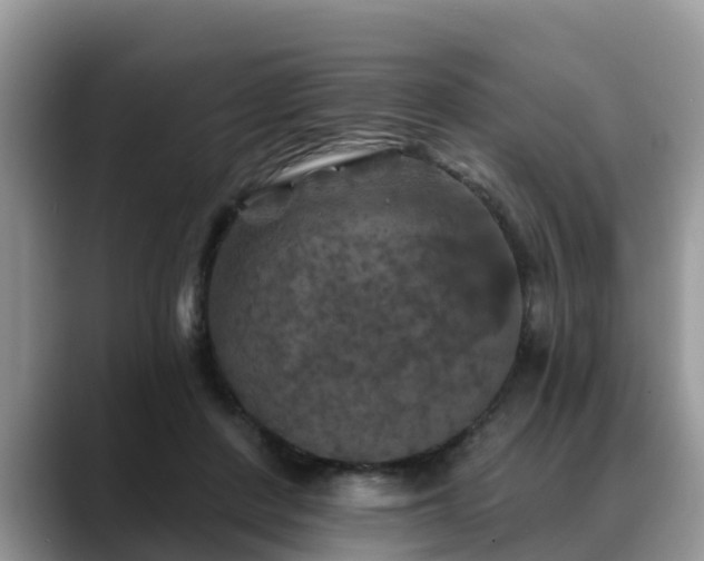 X0000088690408200706071524