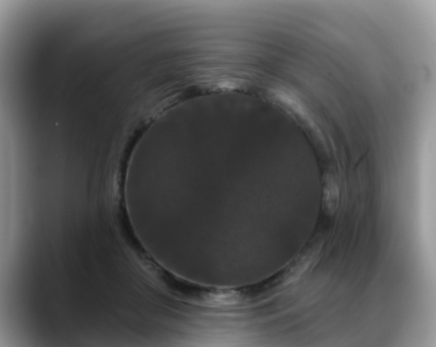 X0000088690410200706071524