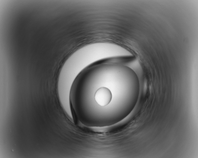 X0000088690411200706071524