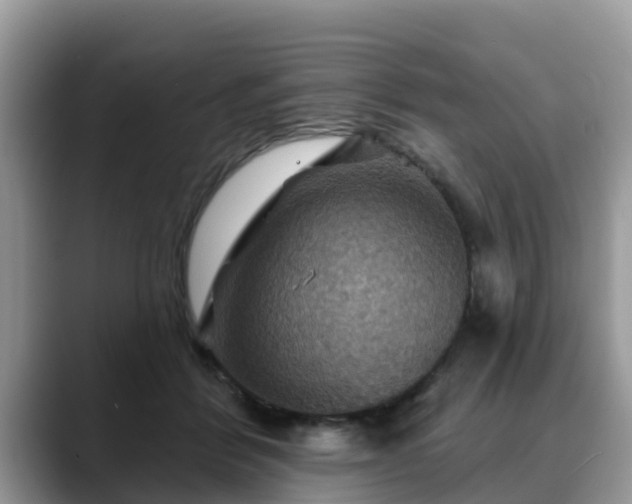 X0000088690412200706071524