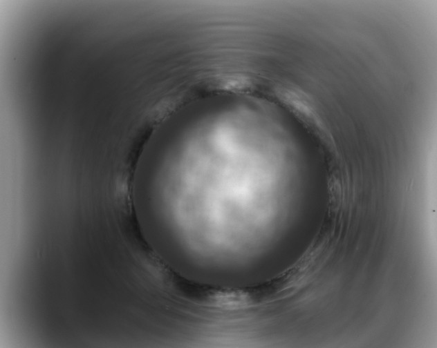 X0000088690415200706071523