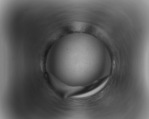 X0000088690416200706071523