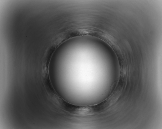X0000088690418200706071523