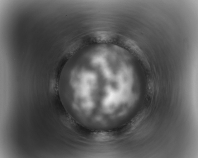 X0000088690419200706071523