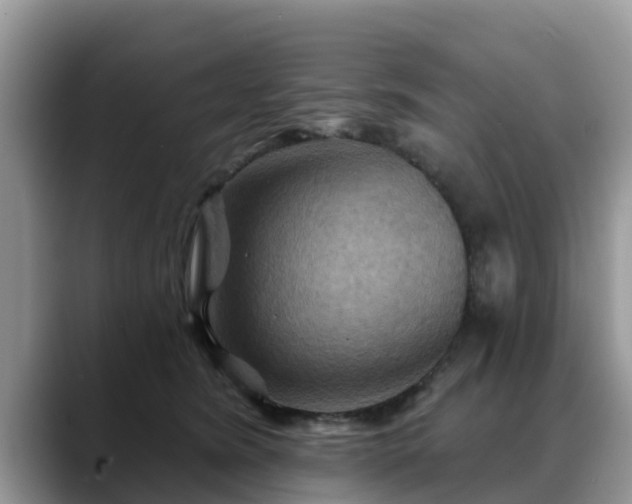 X0000088690420200706071523