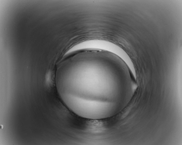 X0000088690421200706071523