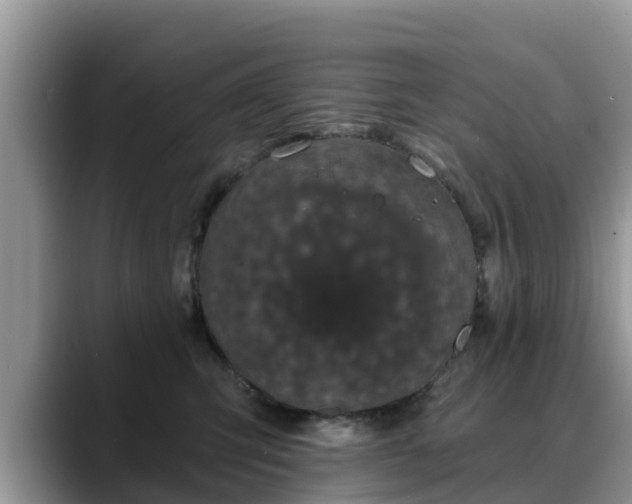 X0000088690423200706071523