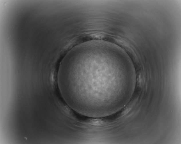X0000088690424200706071523