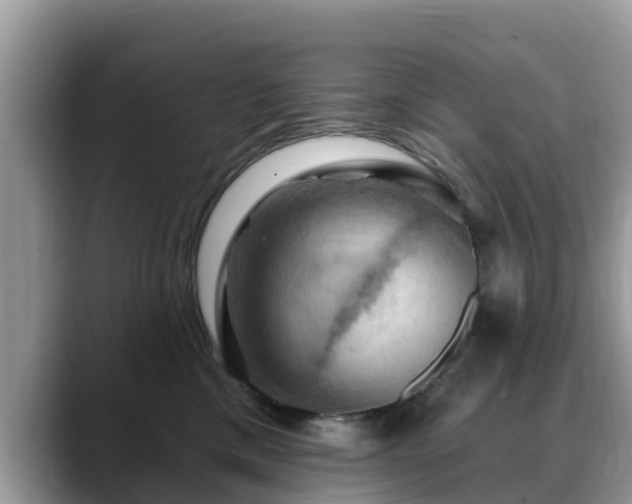 X0000088690425200706071523