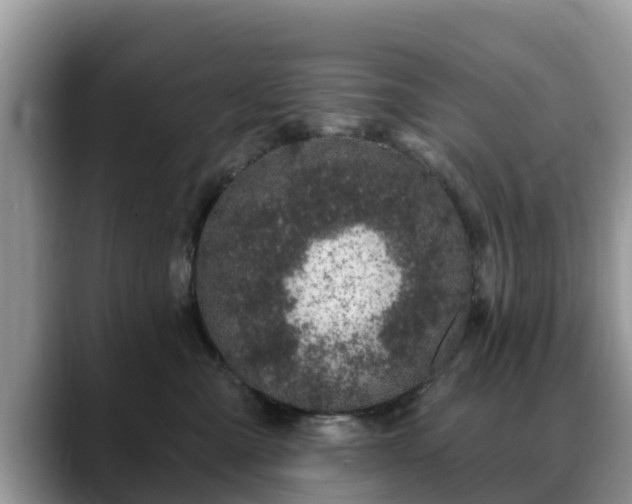 X0000088690427200706071523