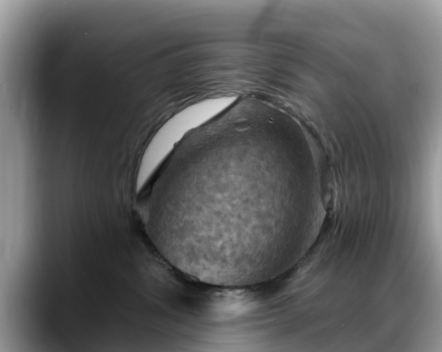 X0000088690428200706071523