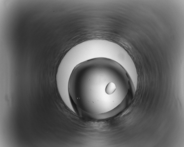 X0000088690429200706071523