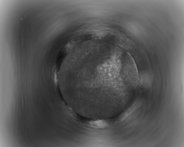 X0000088690431200706071523
