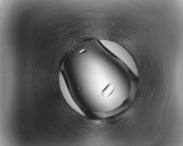 X0000088690432200706071523