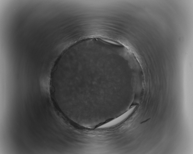 X0000088690434200706071523