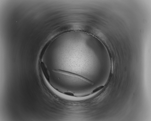 X0000088690435200706071523