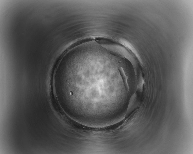 X0000088690436200706071523