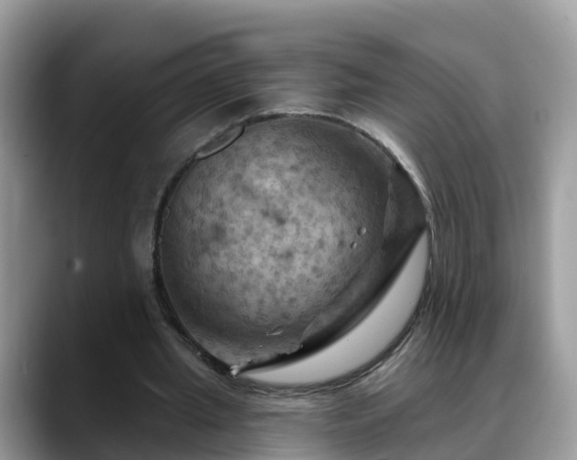 X0000088690437200706071523