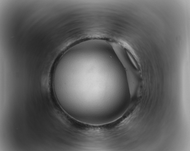 X0000088690439200706071523