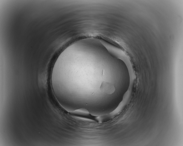 X0000088690440200706071523