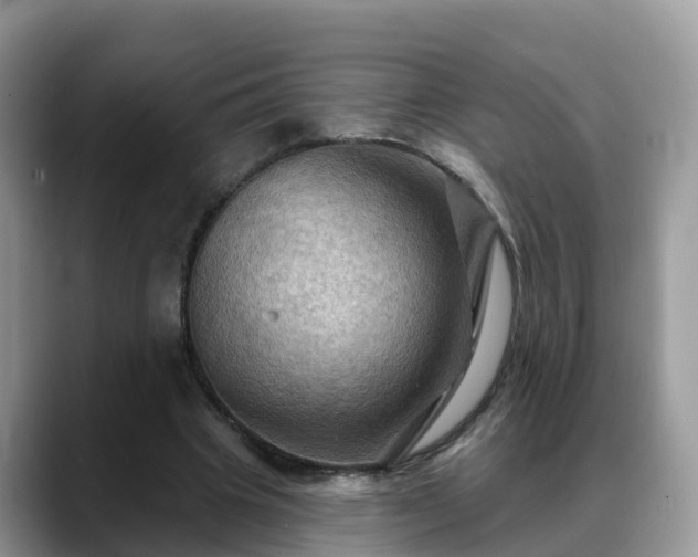 X0000088690441200706071523
