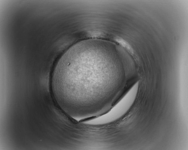 X0000088690442200706071523