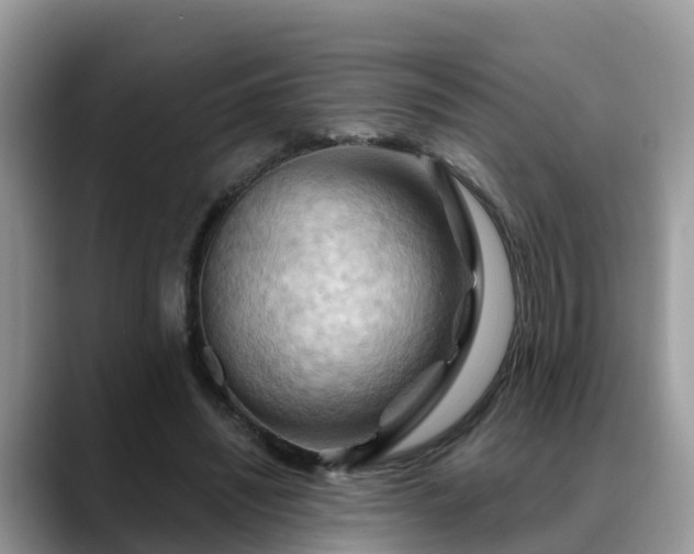 X0000088690444200706071523