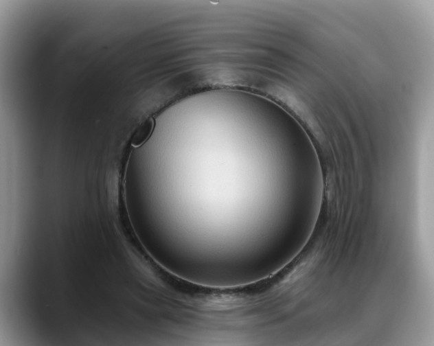 X0000088690445200706071523