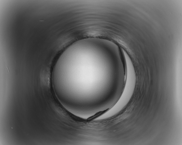X0000088690446200706071523