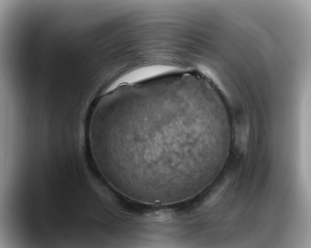 X0000088690447200706071523