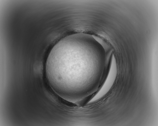 X0000088690448200706071523