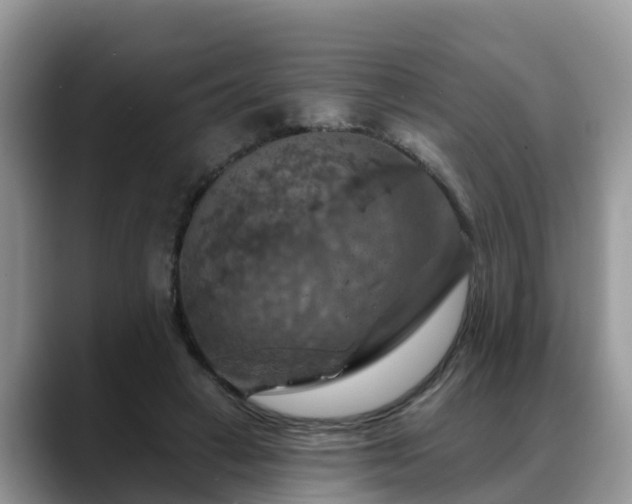 X0000088690449200706071523