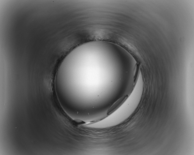 X0000088690450200706071523