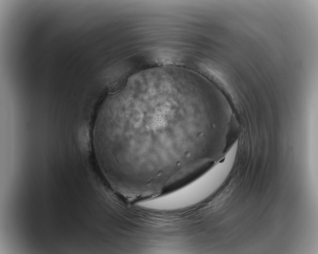 X0000088690453200706071523