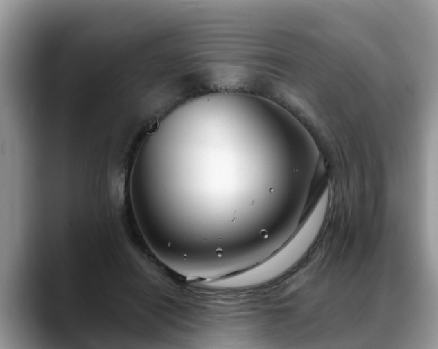 X0000088690454200706071523