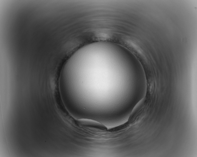 X0000088690455200706071523