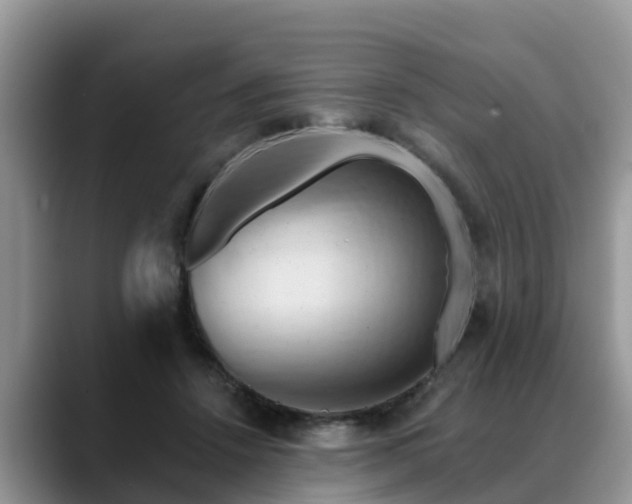 X0000088690456200706071523