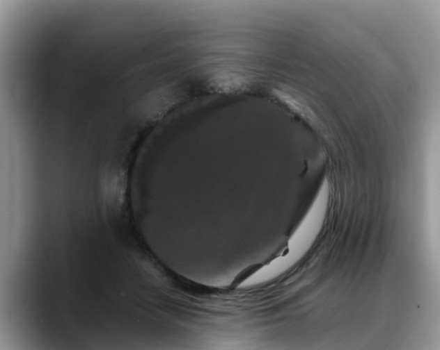 X0000088690458200706071523