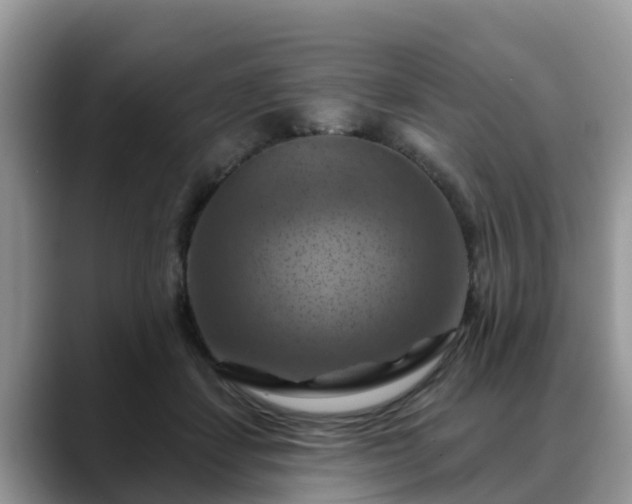 X0000088690459200706071523