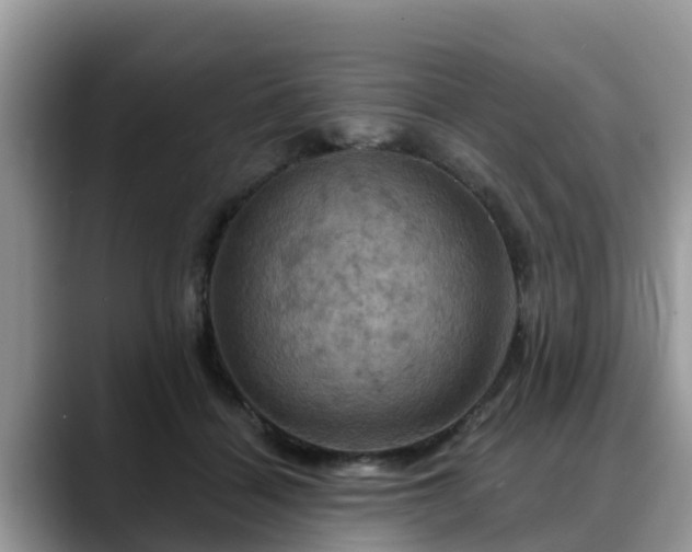 X0000088690460200706071523