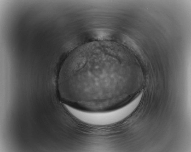 X0000088690461200706071523
